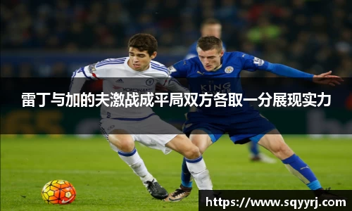 雷丁与加的夫激战成平局双方各取一分展现实力