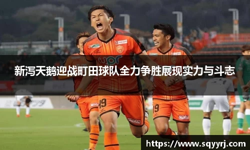 新泻天鹅迎战町田球队全力争胜展现实力与斗志