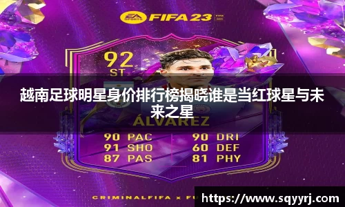 越南足球明星身价排行榜揭晓谁是当红球星与未来之星