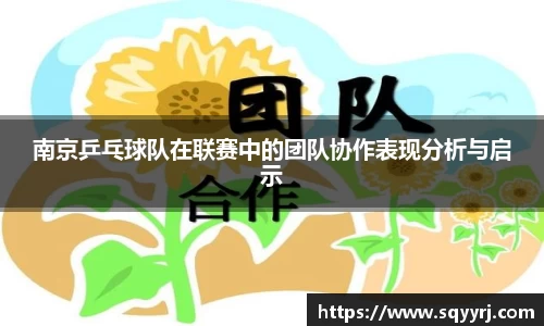 南京乒乓球队在联赛中的团队协作表现分析与启示